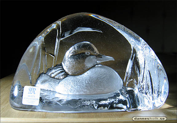 glasfågel.jpg