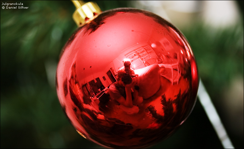 051221_julgranskula.jpg