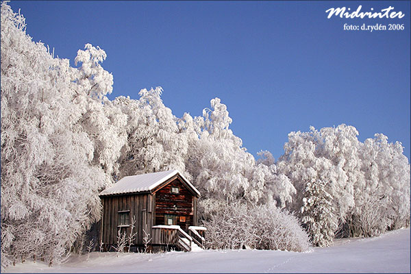wf_midvinter.jpg