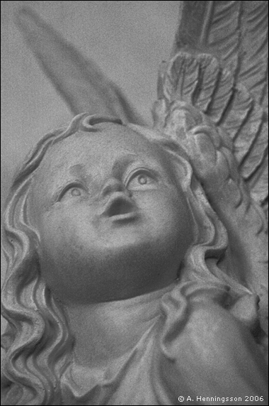 ängel sv-v.jpg