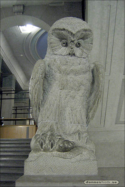 Naturhistoriska Riksmuseet - Uggla.jpg