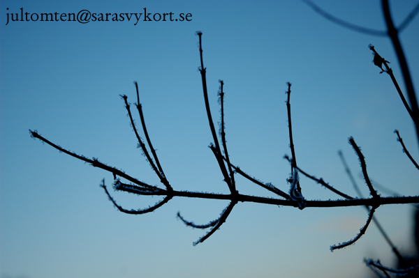 DSC_040622.jpg