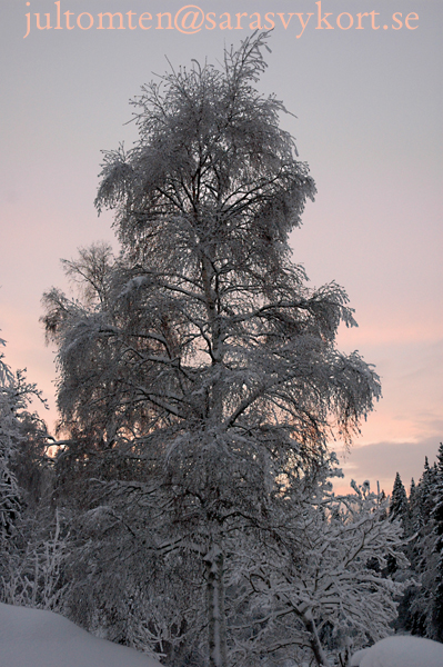 DSC_931923.jpg