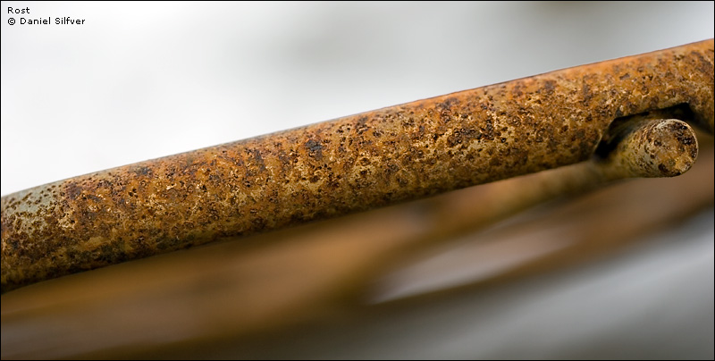060113_rost.jpg