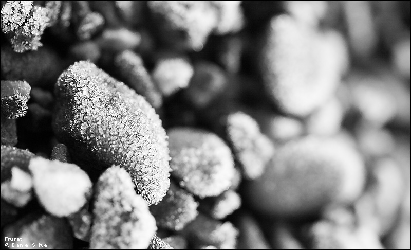 060113_fruset.jpg
