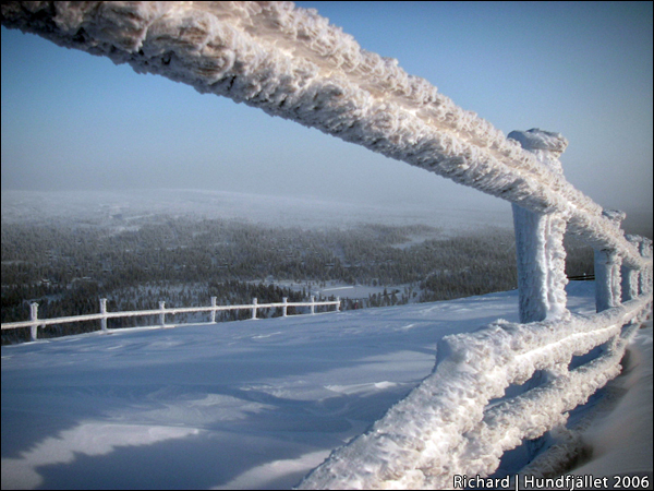 hundjället2006.jpg