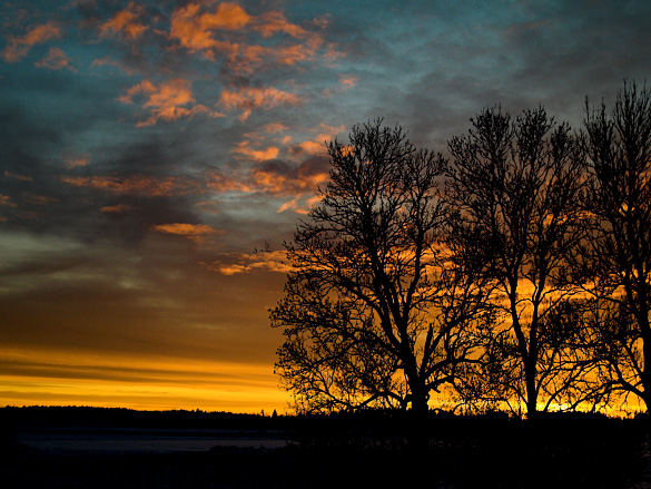 sunset-01.jpg