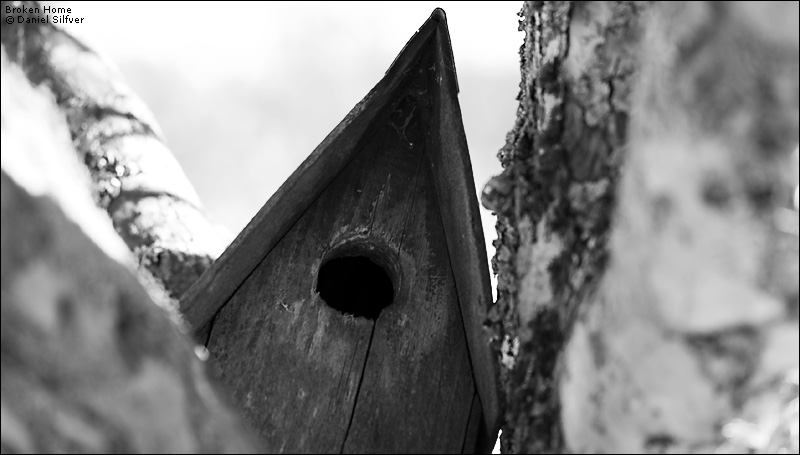 060203_broken_home.jpg