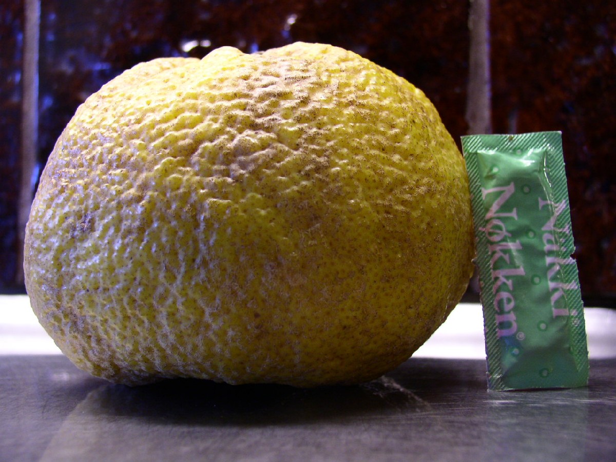 P2080002.JPG
