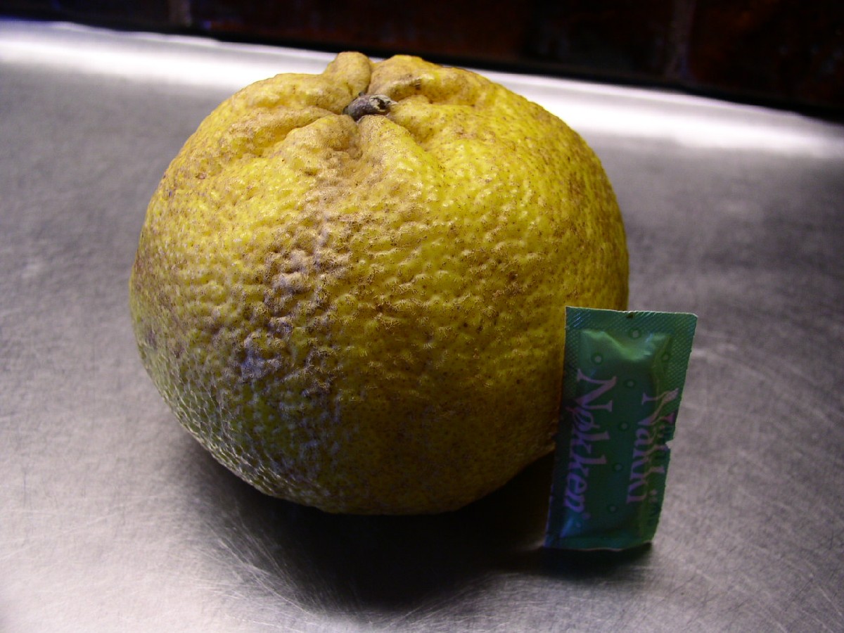 P2080005.JPG