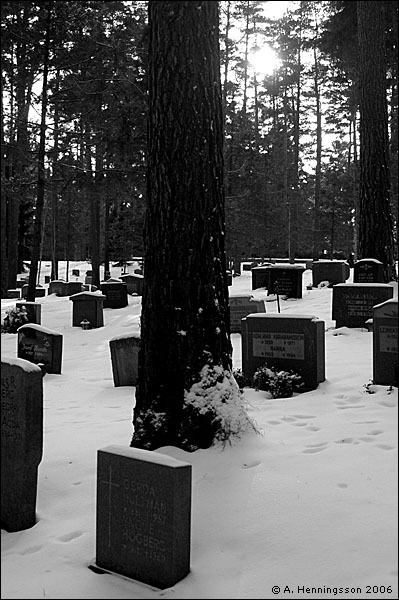 skogskyrkogården.jpg