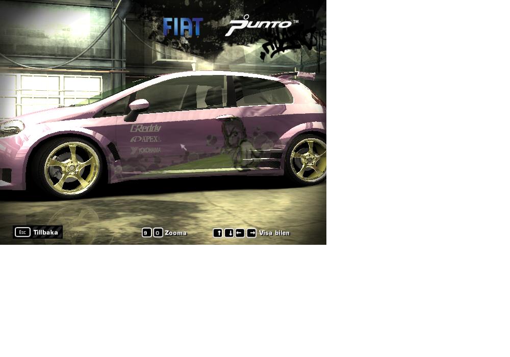 punto2.JPG