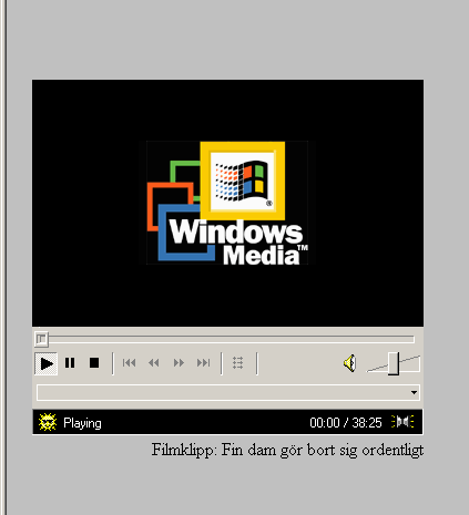 media_player.gif
