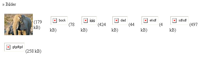 bildfel.jpg