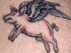 swedefloyds avatar