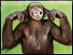 woicers avatar