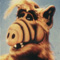 Paces avatar