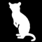 WiZzLeRs avatar