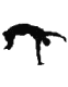 Eitrazs avatar