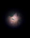 Athenas avatar