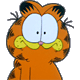Icebreakers avatar