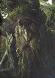 Fangorns avatar