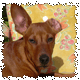 altacks avatar