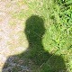 Johnsens avatar