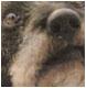 rubans avatar