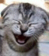sputniks avatar